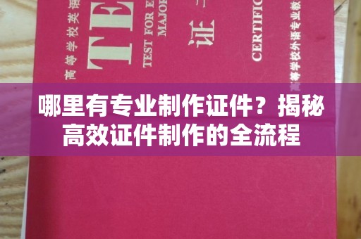蒲县哪里有专业制作证件？揭秘高效证件制作的全流程